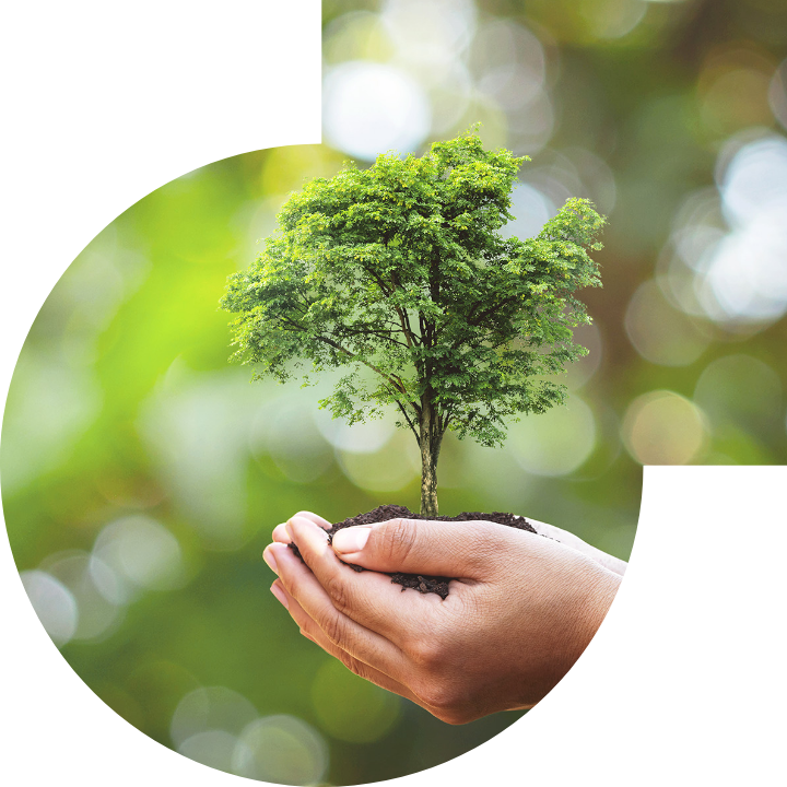 關懷人類、文化、環境與社會